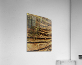Madeira   D Acrylic Print