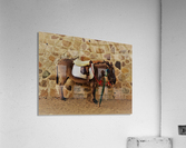 Cyprus   B Acrylic Print