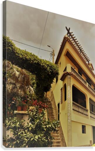 Madeira   C Canvas Print