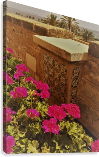 Mallorca   X Canvas Print