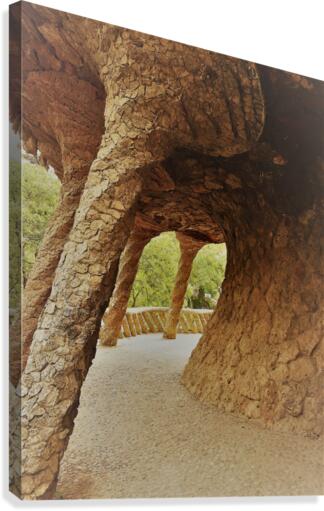 Barcelona   BB Canvas Print