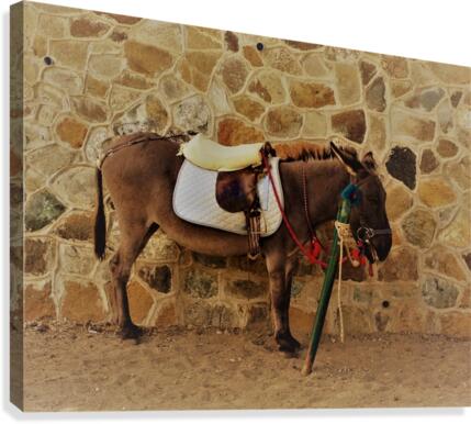 Cyprus   B Canvas Print