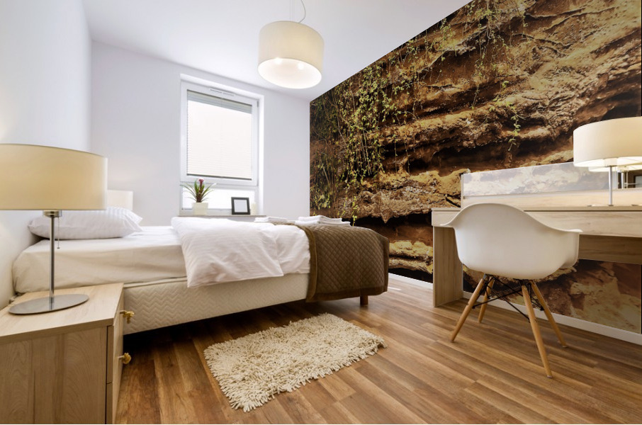Madeira   D Mural print