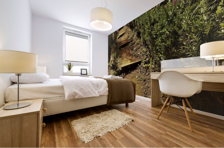 Madeira   V Mural print