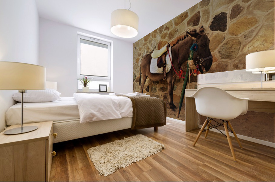Cyprus   B Mural print