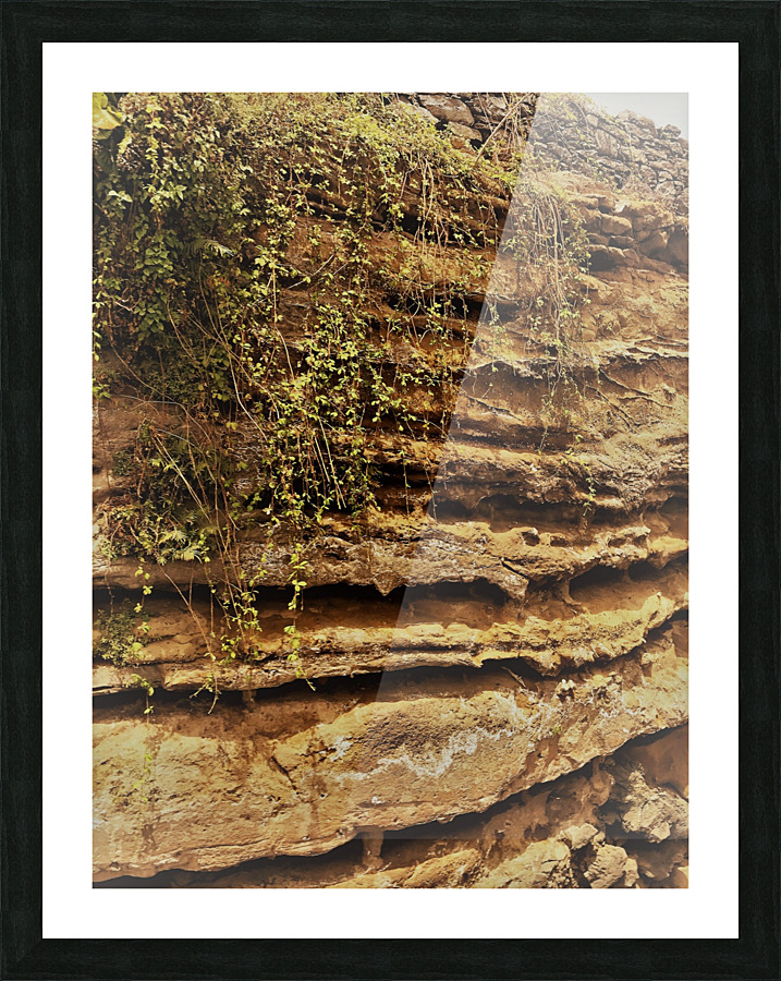 Madeira   D Picture Frame print