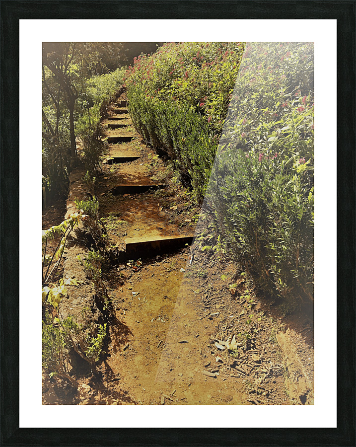 Madeira   V Picture Frame print