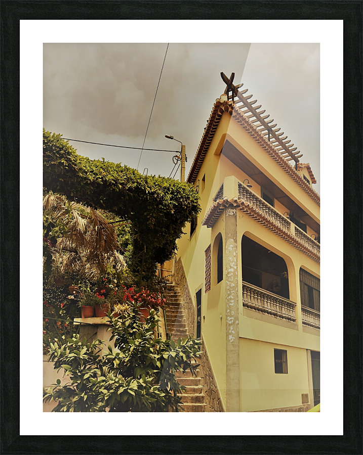 Madeira   C Picture Frame print