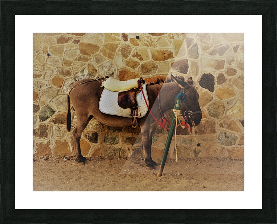 Cyprus   B Picture Frame print