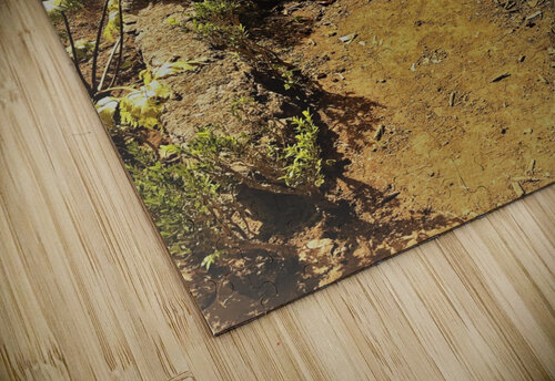 Madeira   V AttoGraphy puzzle