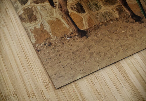Cyprus   B AttoGraphy puzzle