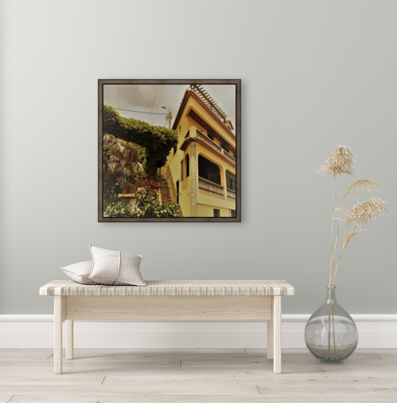 Madeira   C Reproduction