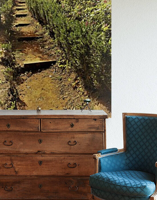 Madeira   V Reproduction