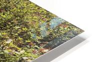 Madeira   V HD Metal print