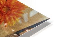 Mallorca   M HD Metal print