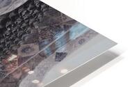 Barcelona   FF HD Metal print
