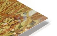 Sevilla  12 HD Metal print