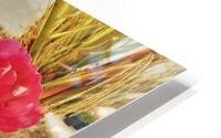 Mykanos  H HD Metal print