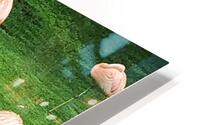 Tenerife  N HD Metal print