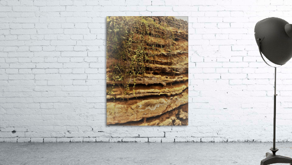 Madeira   D Wall Preview