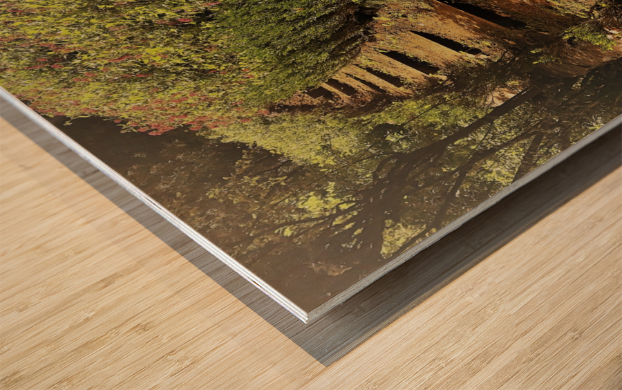 Madeira   V Wood print