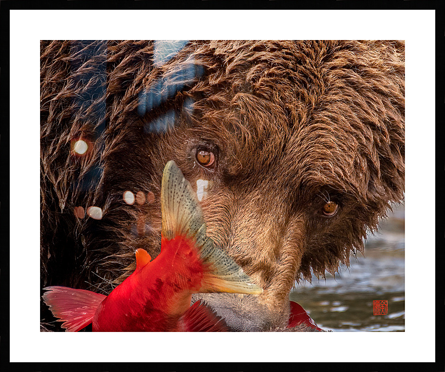 The Stare Picture Frame print