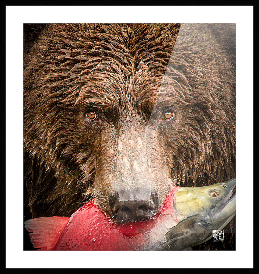Closeup Bear with Red Salmon Picture Frame print