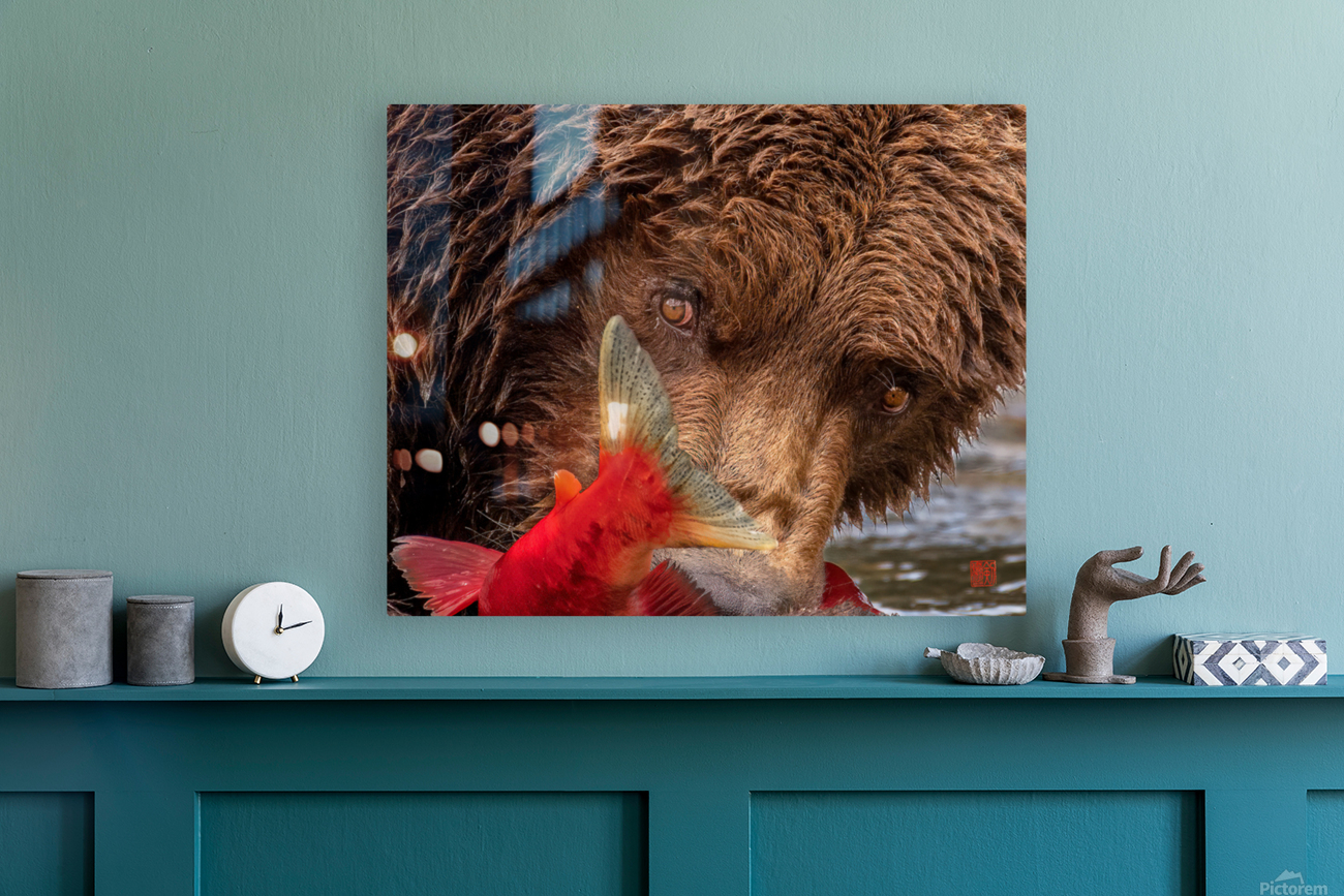 The Stare Reproduction