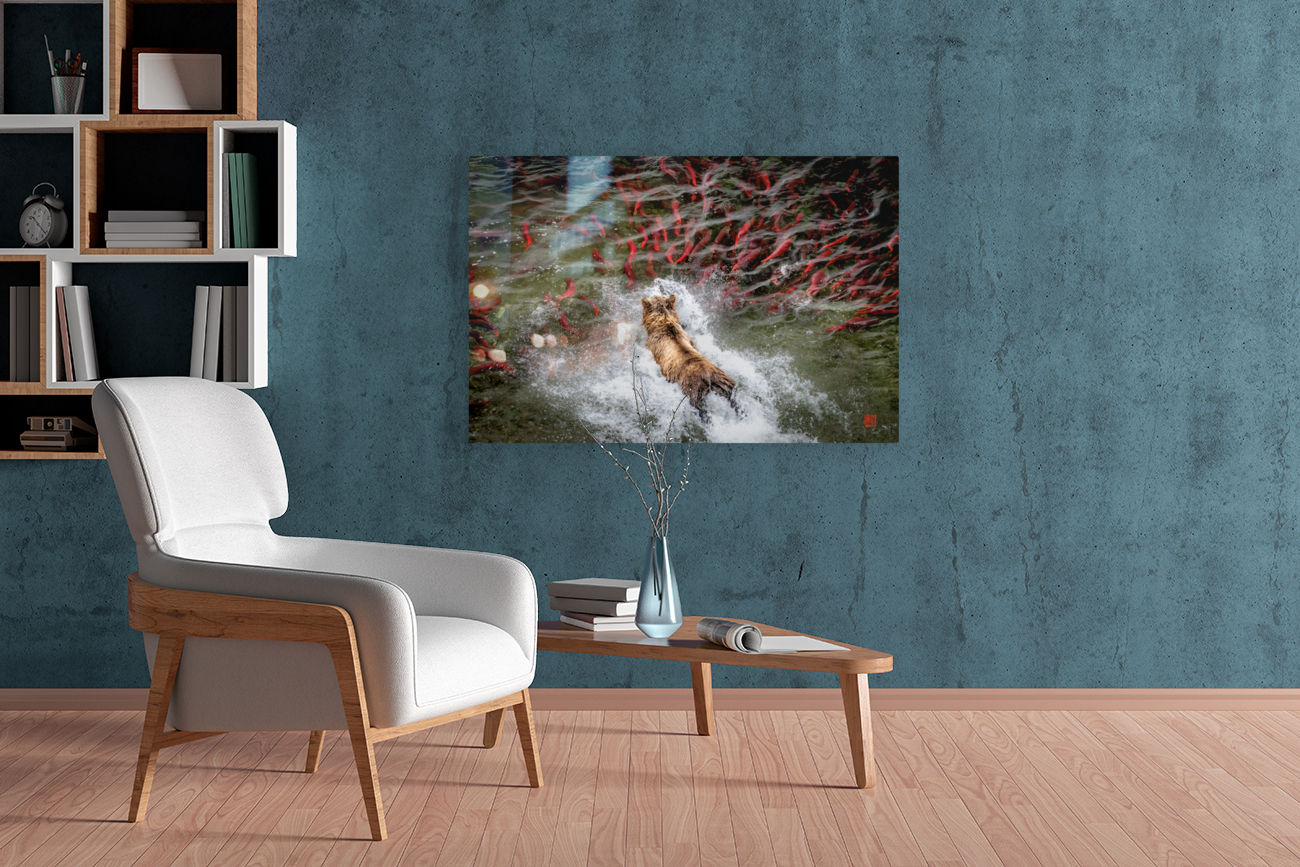 Diving Bear in Sockeye pool  Reproduction
