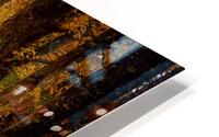 Fallen leaves  HD Metal print
