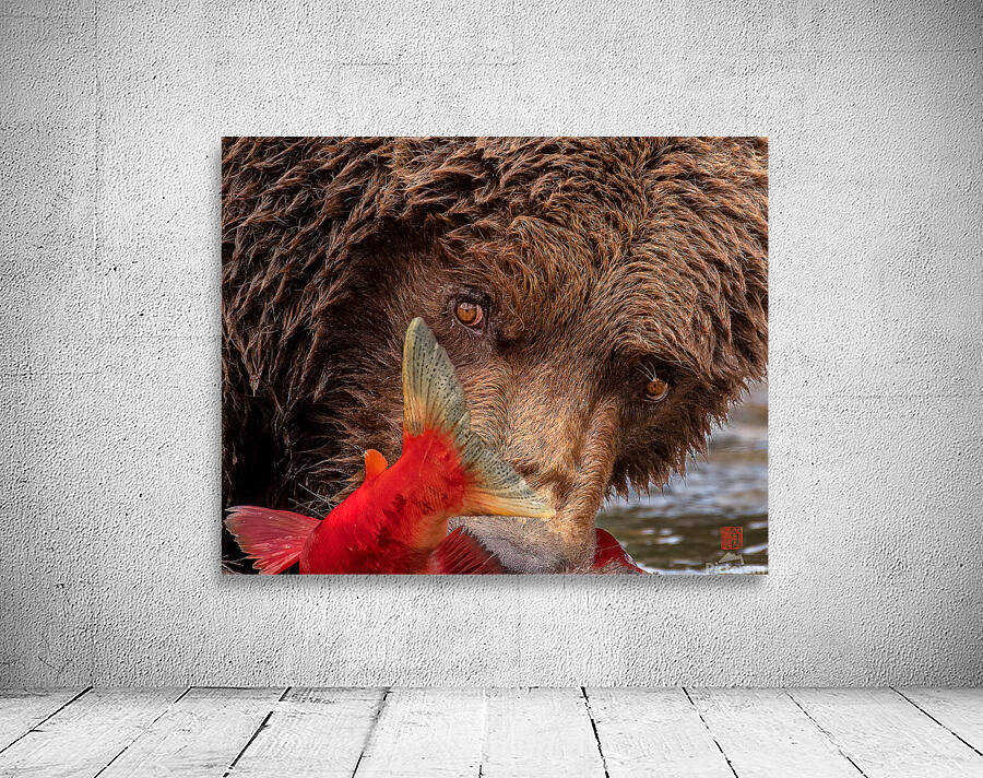 The Stare Wall Preview