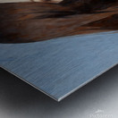 LOVE LOOK Metal print