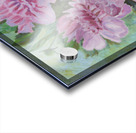 Pink peonies Acrylic print