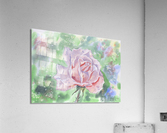 Rose with dew drops  Acrylic Print