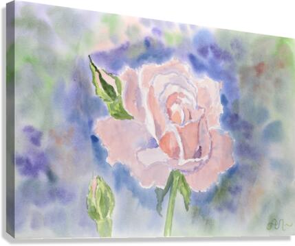 A pink rose Canvas Print