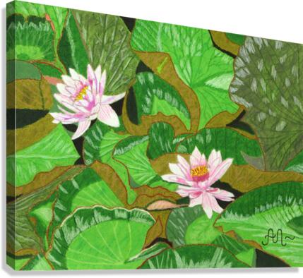 Pond lilies  Canvas Print