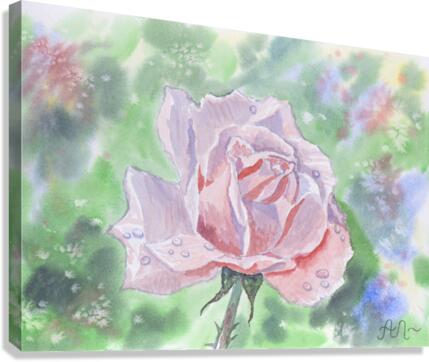 Rose with dew drops  Canvas Print