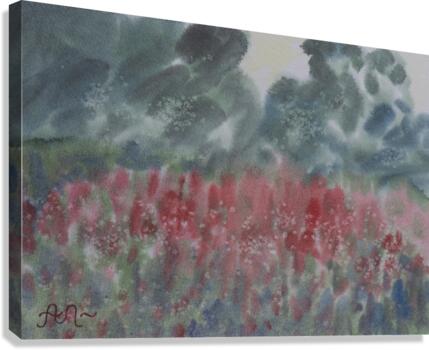  Red flowers in a meadow Canvas Print