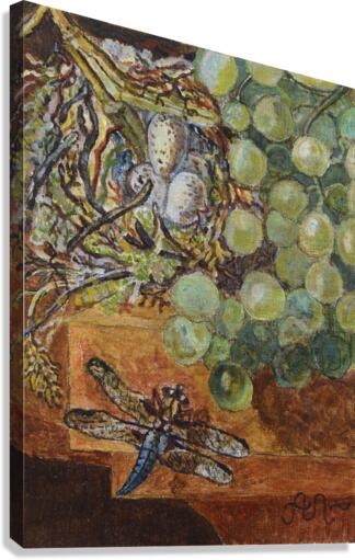 Grapes and dragonfly Canvas Print