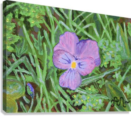 Swiss mountain violet Canvas Print