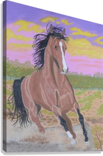 A jumping horse Canvas Print