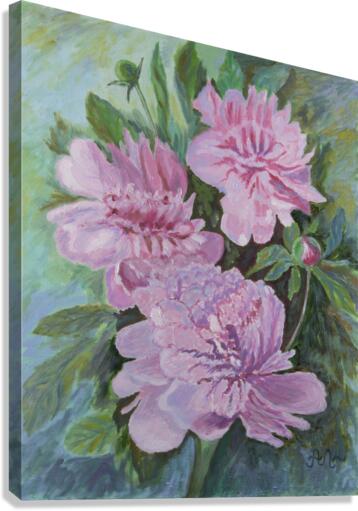 Pink peonies Canvas Print