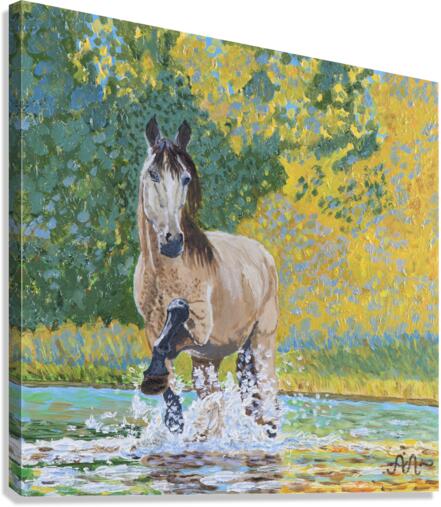 A splashing horse Canvas Print