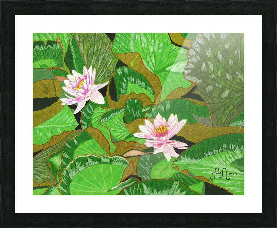Pond lilies  Picture Frame print