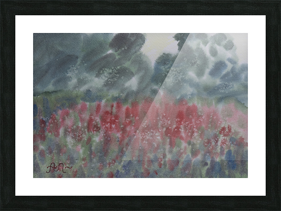  Red flowers in a meadow Picture Frame print
