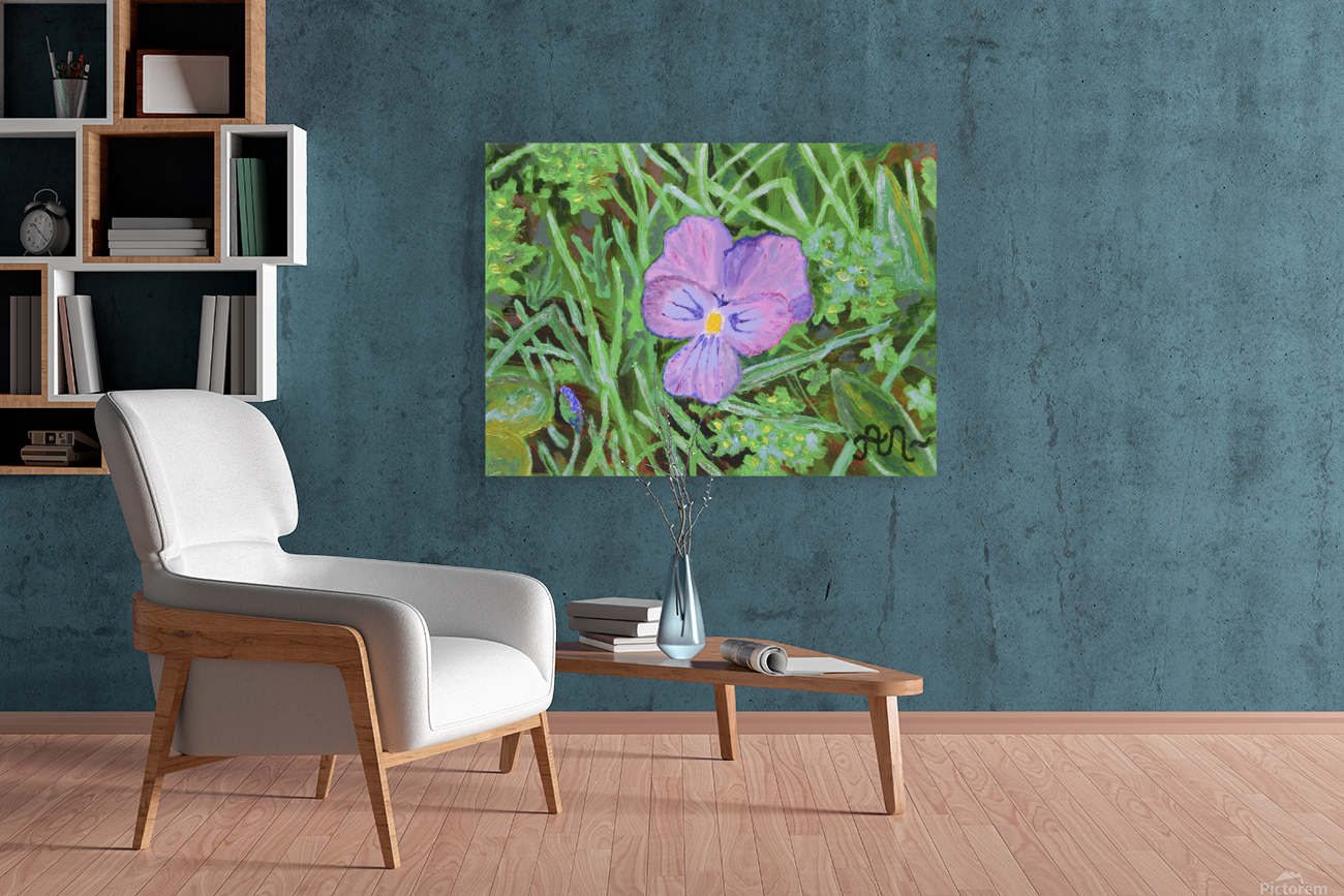Swiss mountain violet Reproduction
