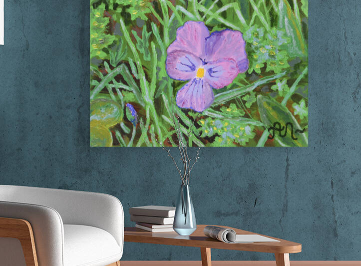 Swiss mountain violet Reproduction
