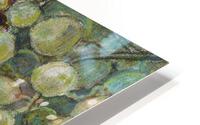 Grapes and dragonfly HD Metal print