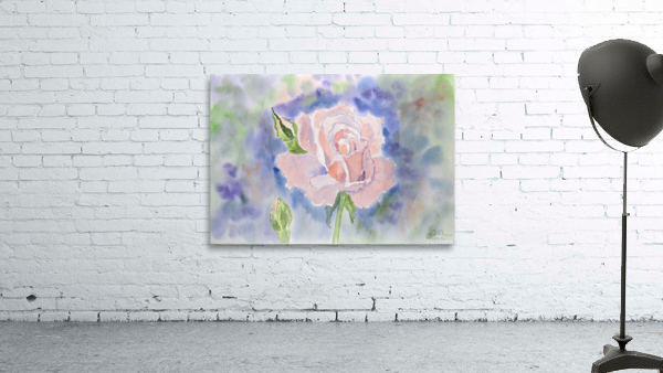 A pink rose Wall Preview