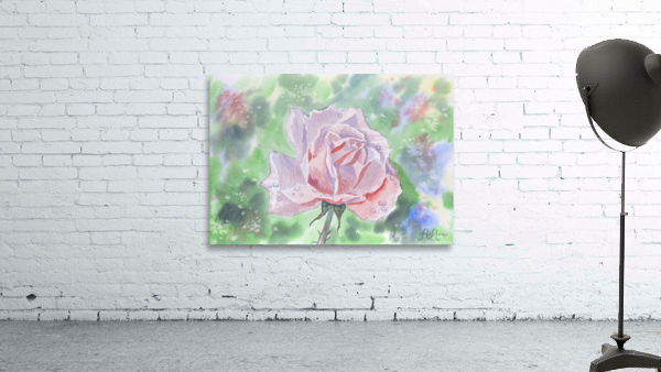 Rose with dew drops  Wall Preview